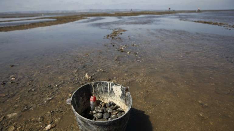 Os homens desapareceram no sábado quando apanhavam amêijoa no rio Tejo