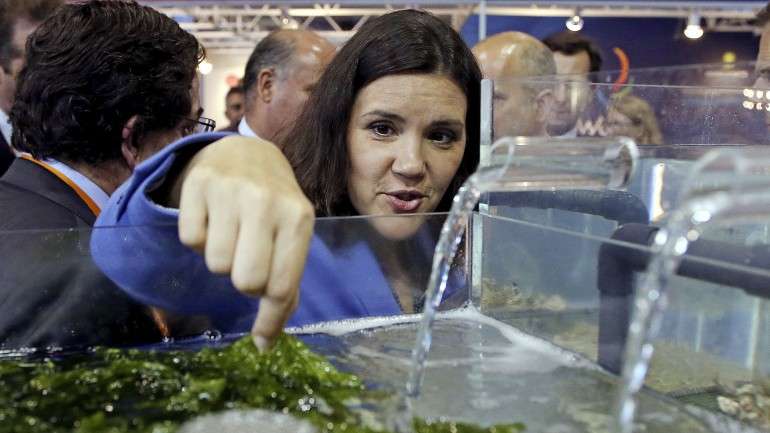 Assunção Cristas, ex-deputada, é ministra da Agricultura