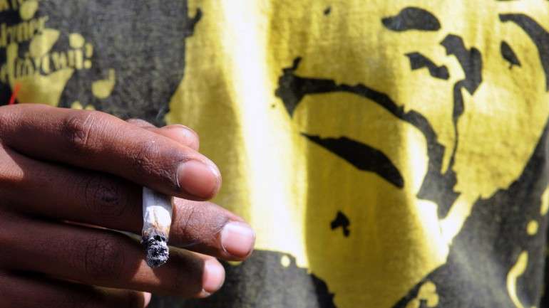 A comunidade rastafari será autorizada a utilizar, legalmente, a planta nas suas práticas religiosas