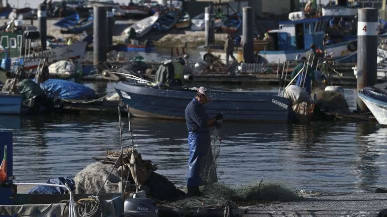 No total, foram criadas 35.568 empresas em 2014