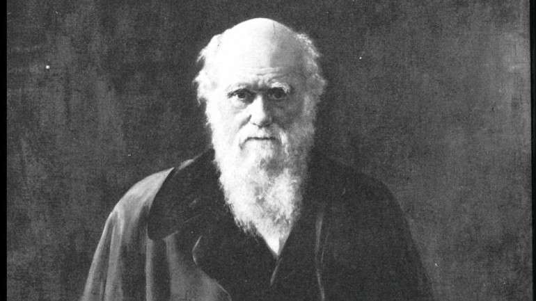 Autor da Teoria da Evolução publicou vários trabalhos sobre as consequências da endogamia