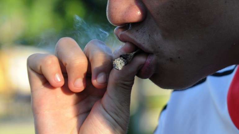 Cannabis leva cada vez mais novos utentes a procurar ajuda em Portugal