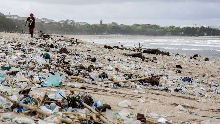 O mar revela várias respostas sobre a poluição