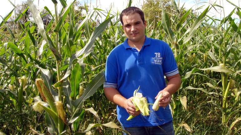 Para se poderem candidatar, os jovens agricultores, com idades entre 18 e 40 anos, terão de estar enquadrados na categoria de micro e pequenas empresas
