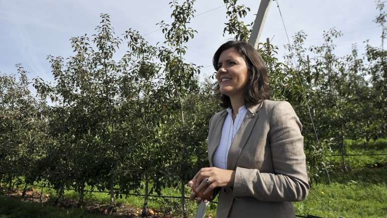 Ministra diz que os jovens empresários agrícolas estão mais sofisticados