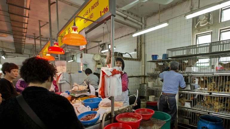 No Ano Novo Chinês a galinha fresca assume um papel especial