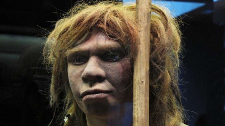 Tradicionalmente considerava-se que os hábitos dos neandertais eram muito diferentes dos do homem moderno