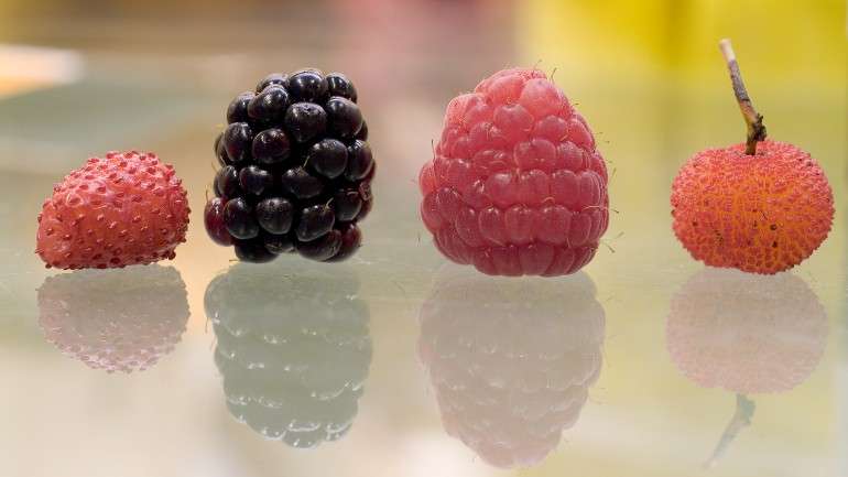 Os alimentos antioxidantes, como os frutos vermelhos, podem ter um efeito de prevenção deste tipo de doenças