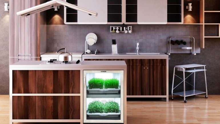 A Urban Cultivator recebeu mais de 50 contactos de portugueses interessados em representar a marca