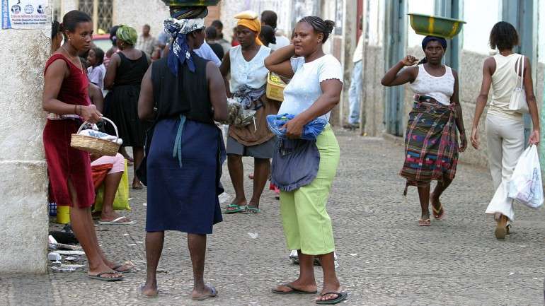 Ainda não se sabe de que morreram os suínos. A decisão visa evitar que a doença se alastre, caso seja epidémica