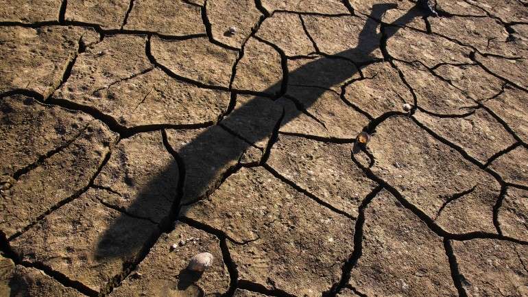 O nordeste do país lidera a lista de municípios afetados pela estiagem, com 843 cidades