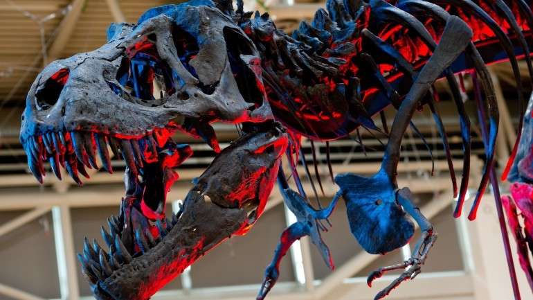 Os dinossauros viveram há mais de 230 milhões de anos
