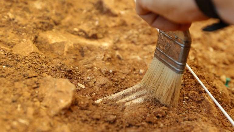 Dente de rena foi descoberto na jazida da serra de Atapuerca, em Burgos