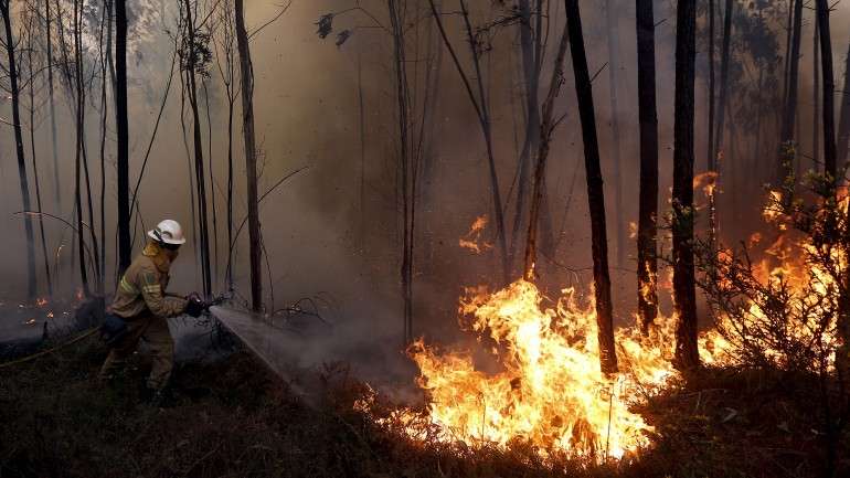 A Autoridade Nacional de Proteção Civil (ANPC) registou na quarta-feira 64 incêndios, que foram combatidos por 672 operacionais, com o apoio de 192 veículos