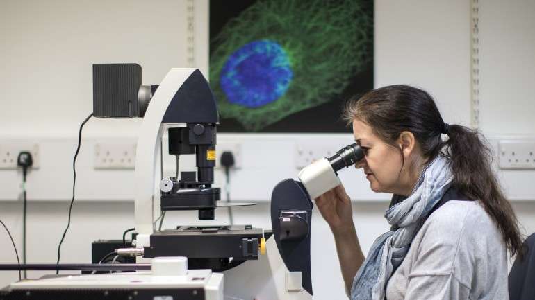 Um grupo de investigadores da Universidade de Cambridge, conseguiu filmar linfócitos T a destruir células cancerosas