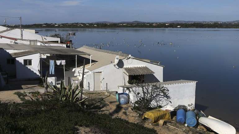 Sociedade Polis Litoral Ria Formosa vai avançar também com um novo estudo sobre o impacto das intervenções na biodiversidade das ilhas-barreira