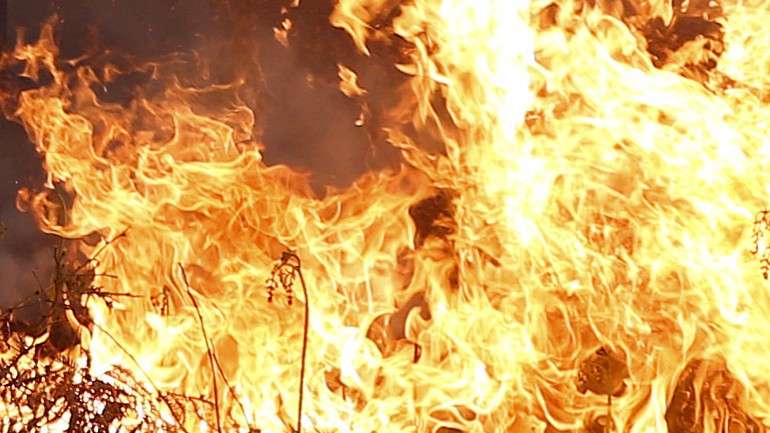 Desde as 00h00 de hoje deflagraram 85 incêndios florestais, combatidos por 1.483 operacionais, 352 veículos e 35 meios aéreos