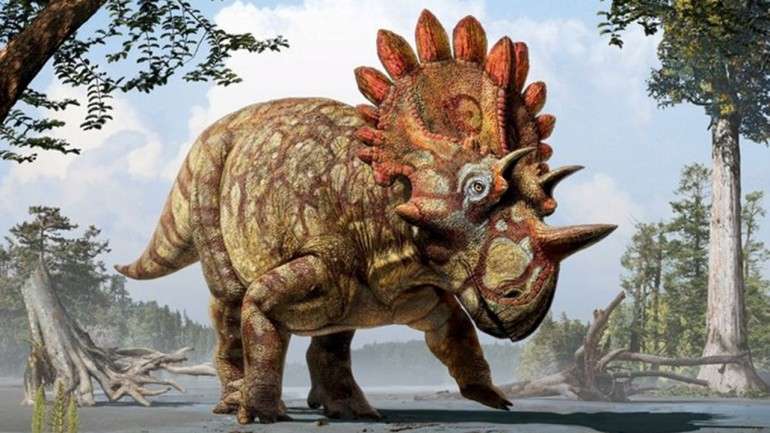 Representação artística do dinossauro encontrado em Alberta, "Regaliceratops peterhewsi"
