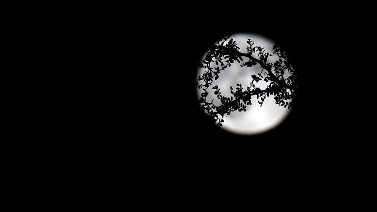 Caso perca o fenómeno esta sexta-feira, saiba que a próxima lua azul só volta a acontecer em 2018