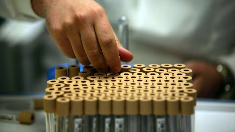 A descoberta foi feita por especialistas em bioinformática e biologia computacional