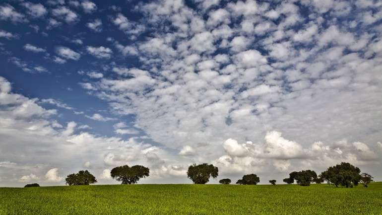 A ecologia é uma prioridade para o PEV e para o PAN