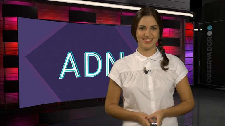 A entrega dos prémios irá decorrer no dia 26 de novembro