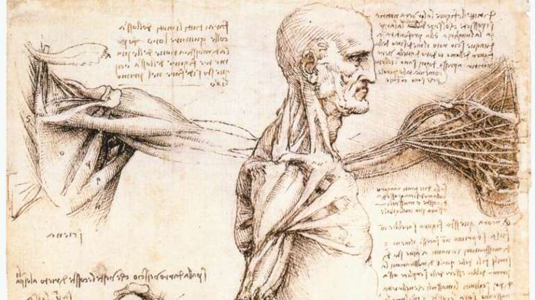 O ser humano é objeto de estudo há centenas de anos. Conheça algumas das capacidades que já foram comprovadas pela ciência