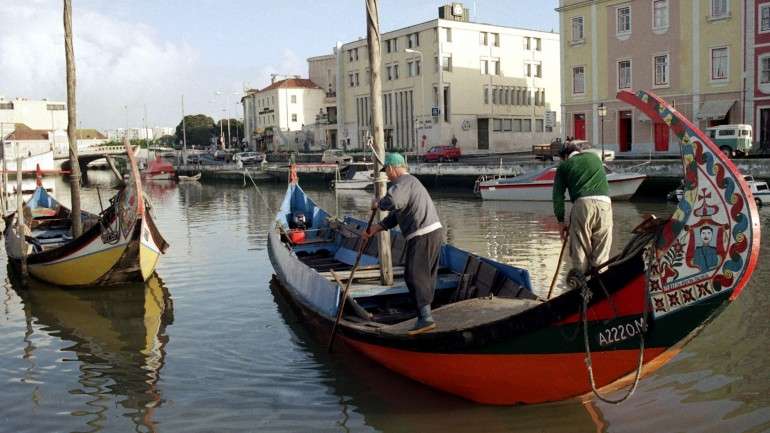 Ação de fiscalização decorreu em Aveiro, Albergaria, Espinho e Santa Maria da Feira