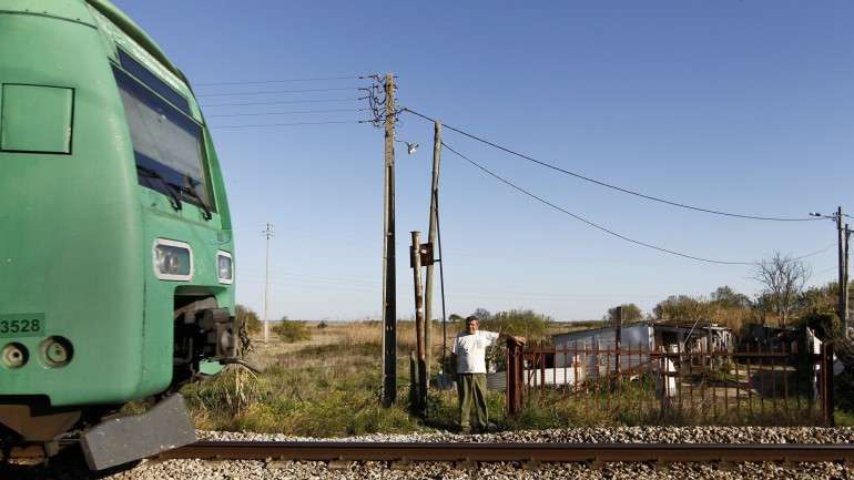 O alerta para o acidente foi dado às 9h14 e, segundo o Comando sub-regional Lezíria do Tejo da Proteção Civil, que confirmou existir uma vítima mortal