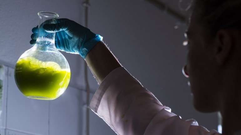 A Necton exporta 95% da produção de microalgas para 15 destinos