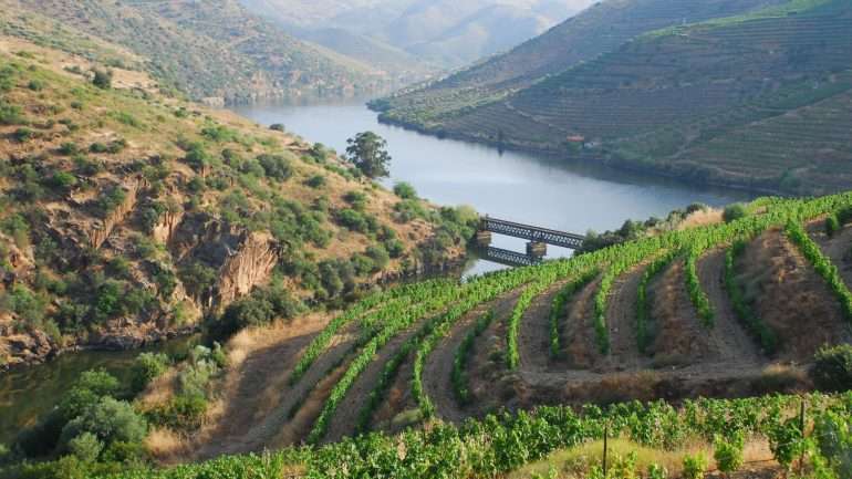A CNN dá 20 sugestões para conhecer melhor a região do Douro