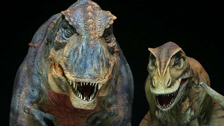"Os abelisaurus eram os grandes carnívoros do fim do período Cretáceo", explica Sebastian Apesteguia, que está a estudar a descoberta