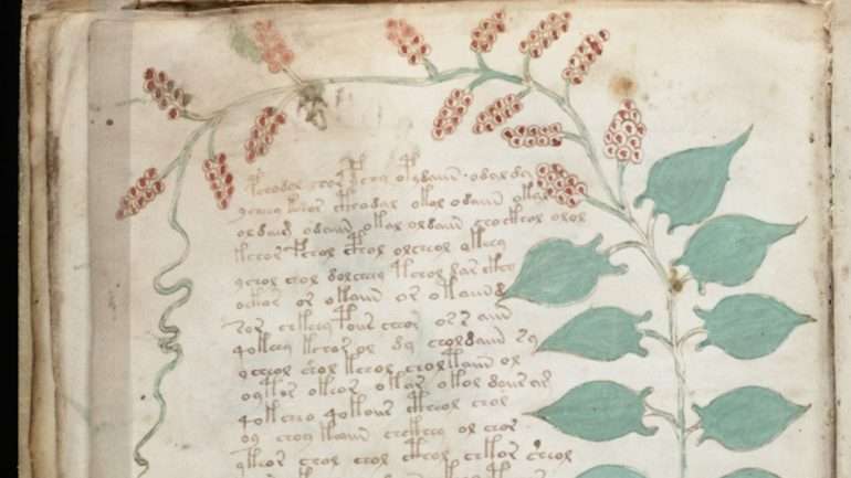 Um pormenor de uma página do manuscrito Voynich