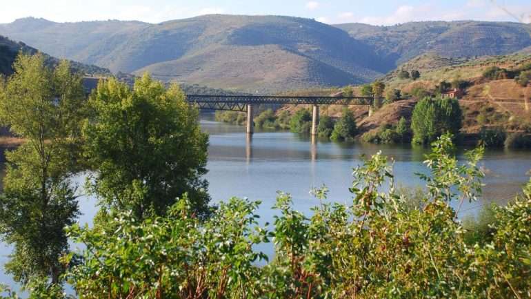 No mês de junho de 2016, na Linha do Douro, o transporte de Grupos aumentou 73%