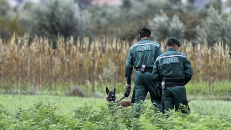 Militares da GNR trabalharam em conjunto com a PJ nas buscas por Martim, na freguesia de Urqueira, em Ourém