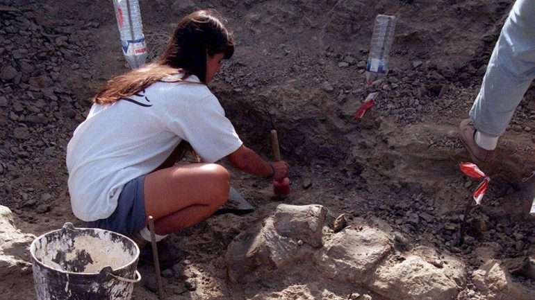 Lourinhã tem mais uma relíquia de dinossauros encontrada.