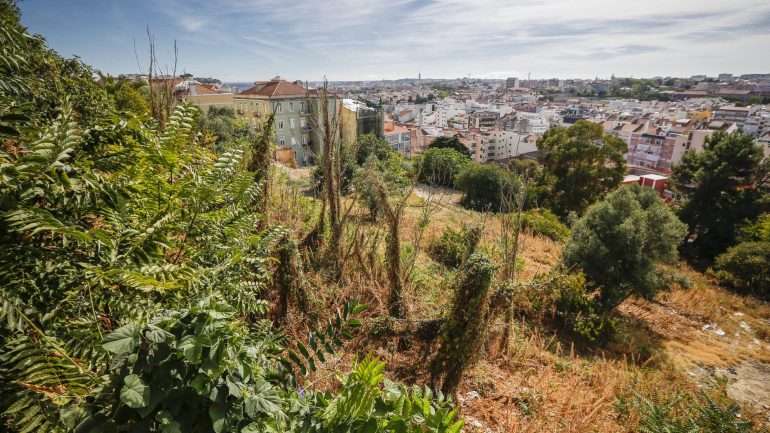 Este é o estado atual do Jardim do Caracol da Penha