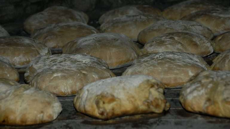 25 toneladas de trigo produzidas e transformadas em 20 toneladas de farinha deram origem a 50.000 pães certificados, feitos com cereais do Alentejo