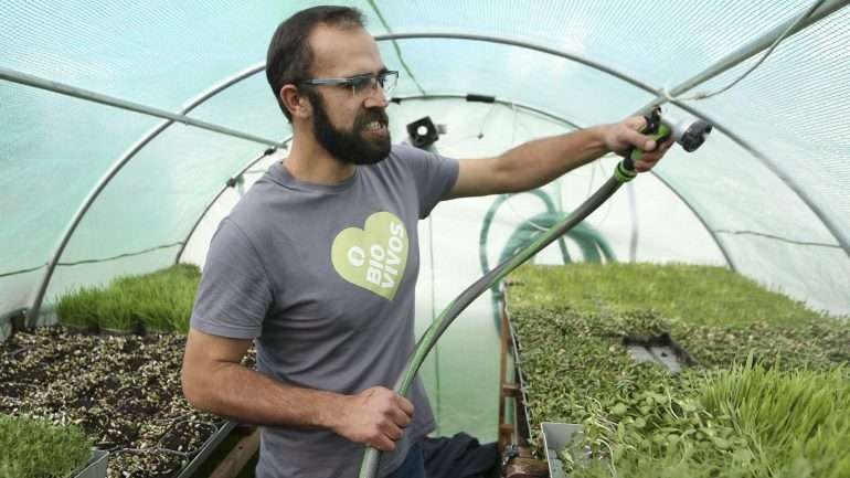 A ausência de químicos nos produtos da terra, recorrendo-se a uma agricultura sustentável, e a ausência de hormonas ou vestígios de antibióticos nos animais são apontados como os principais benefícios do consumo biológico