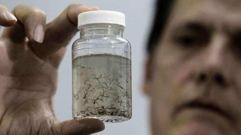 Também houve uma queda expressiva no número de óbitos por Dengue