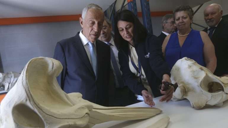 É preciso que todos se juntem para que Portugal ganhe, porque isso é que é importante", apelou o Presidente da República