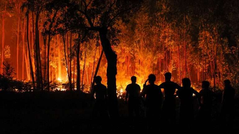 Em caso de incêndio florestal próximo da residência, não deve sair de casa