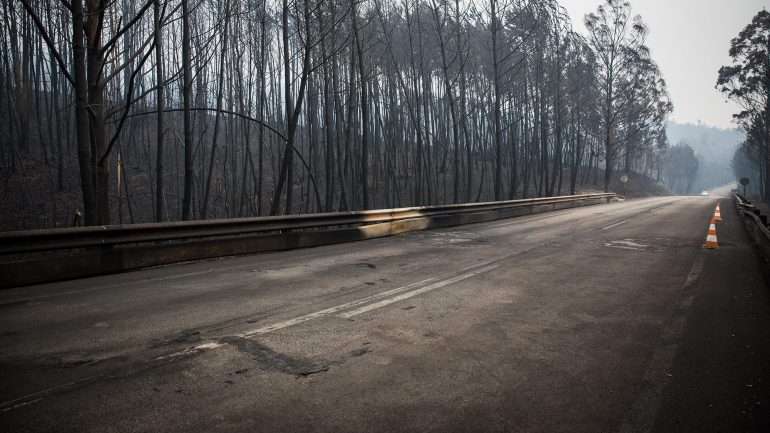 Foi na EN236-1 que 47 pessoas perderam a vida no incêndio de Pedrógão Grande