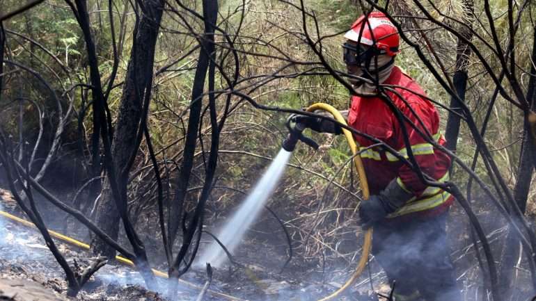 O adjunto nacional de operações, Miguel Cruz, acrescentou que não há aldeias evacuadas, nem estradas cortadas