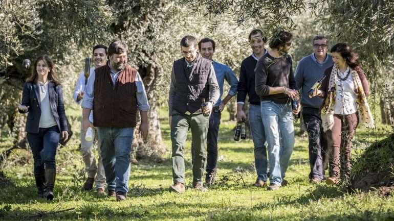 Os YEP são "jovens" transmontanos produtores de azeite, que se uniram para ajudar a promover o azeite de terroir.