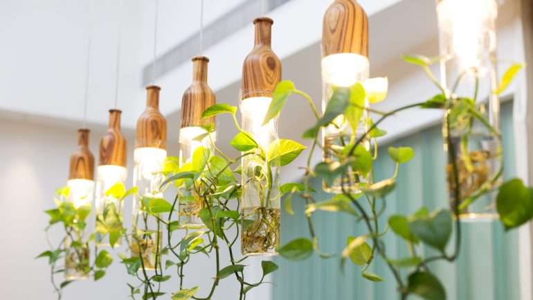 Há alguns vasos suspensos que se assemelham a candeeiros. Em Lisboa encontra-os por exemplo nas lojas Light &  Store.