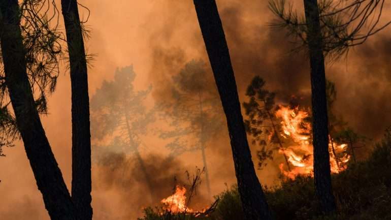 Mais de 200 pessoas já foram retiradas das habitações durante o combate ao incêndio no concelho de Mação.