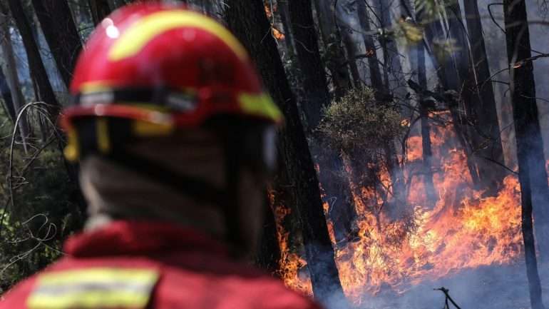 Fausto Coutinho apresentou a demissão 19 dias depois do início do incêndio de Pedrógão Grande