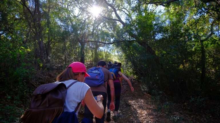 Existem diferentes cenários e ambientes para explorar enquanto caminha. Sobre os percursos, há empresas com programas definidos ou pode optar por recolher informações junto das Câmaras Municipais da zona pretendida.