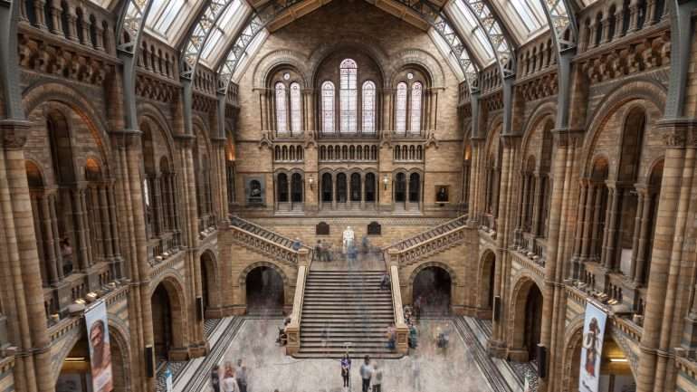 O museu, num email enviado à criança, afirmou esperar que "a paixão pela paleontologia continue"